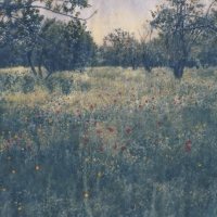 Cyanotype-Springtime