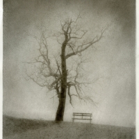 Bromoil Waiting for the Spring to come
