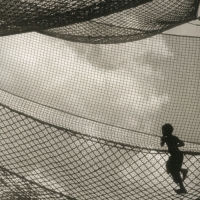 Palladium print In the net