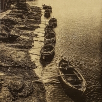Gumoil-Indian-evening