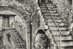 Gumoil 02