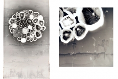 Chemigram Bouyancy