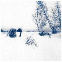 Cyanotype-Bluffside-Winter-III