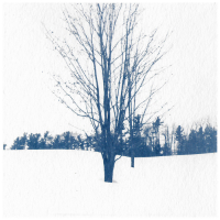Cyanotype-Bluffside-Winter-V