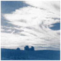 Cyanotype-Farm-II