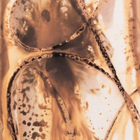 Chemigram-Coddiwomple-detail-1