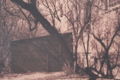 Toned Cyanotype Along the Path