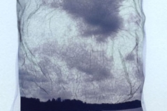 Polaroid emulsion lift Gray skies