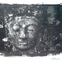 Van Dyke Bali Buda II