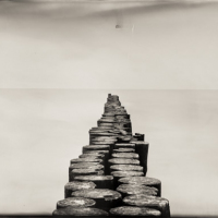 Wetplate collodion infinity