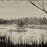 Wetplate collodion island
