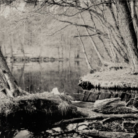 Wetplate collodion reconnection