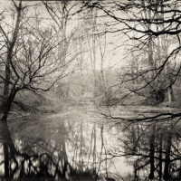 Wetplate collodion silent waters