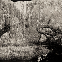 Wetplate collodion the bridge