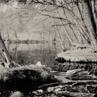 Wetplate collodion reconnection