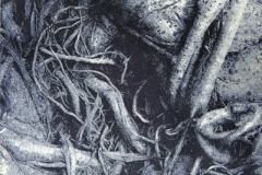 Gumoil Coiled Roots