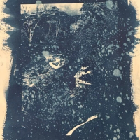 Cyanotype-House-in-Hawaii-