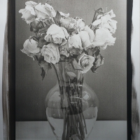 Roses - Platinum and Palladium Print
