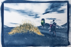 Cyanotype with acrylics Surrealism - Flamengo in Iceland