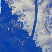 Wetplate collodion Lace Wave