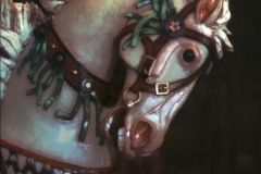 Gum bichromate Missoula Horse