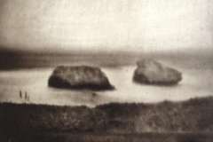 Gum bichromate on wood Ilbaritz Beach