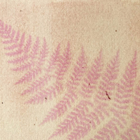 Anthotype-beetroot