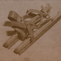 Saltprint-skates