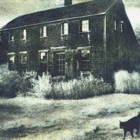 Bromoil Marthas vineyard cat