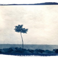 Cyanotype-Litoral-I