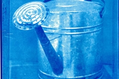 Cyanotype 2