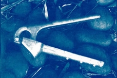 Cyanotype 6
