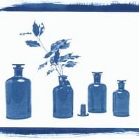 Cyanotype-Greenish-Brown