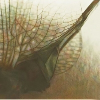 Gumprint-Zoomin-4