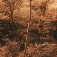 Lith-print-Blackford-Hill-Silver-Light