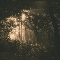 Lith-print-Corstorphine-Hill-Sunrise