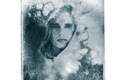 Polaroid emulsion lift chris l