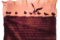 Polaroid emulsion lift rooftop birds