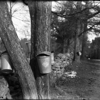 Dry plate Buckets