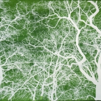 Carbon transfer Memorie015
