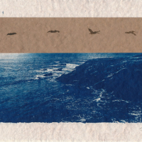 Cyanotype-Buchon-II