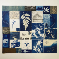 Cyanotype-Darkness-Made-Visible