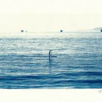 Cyanotype-Dropwise-II