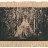 Cyanotype-Harley