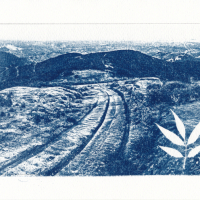 Cyanotype-Ingress-I