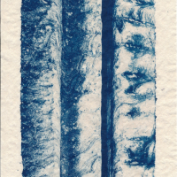 Cyanotype-Ingress-II