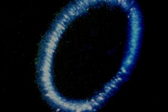 Kirlian photograph Fingertip