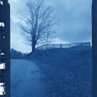 Cyanotype Fence - tree