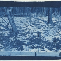 Cyanotype New Wall
