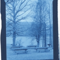 Cyanotype Watauga Point 1